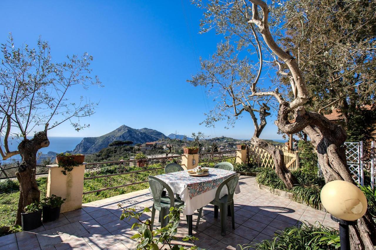 Il Pioppo - Country House Sea View Massa Lubrense Exteriör bild