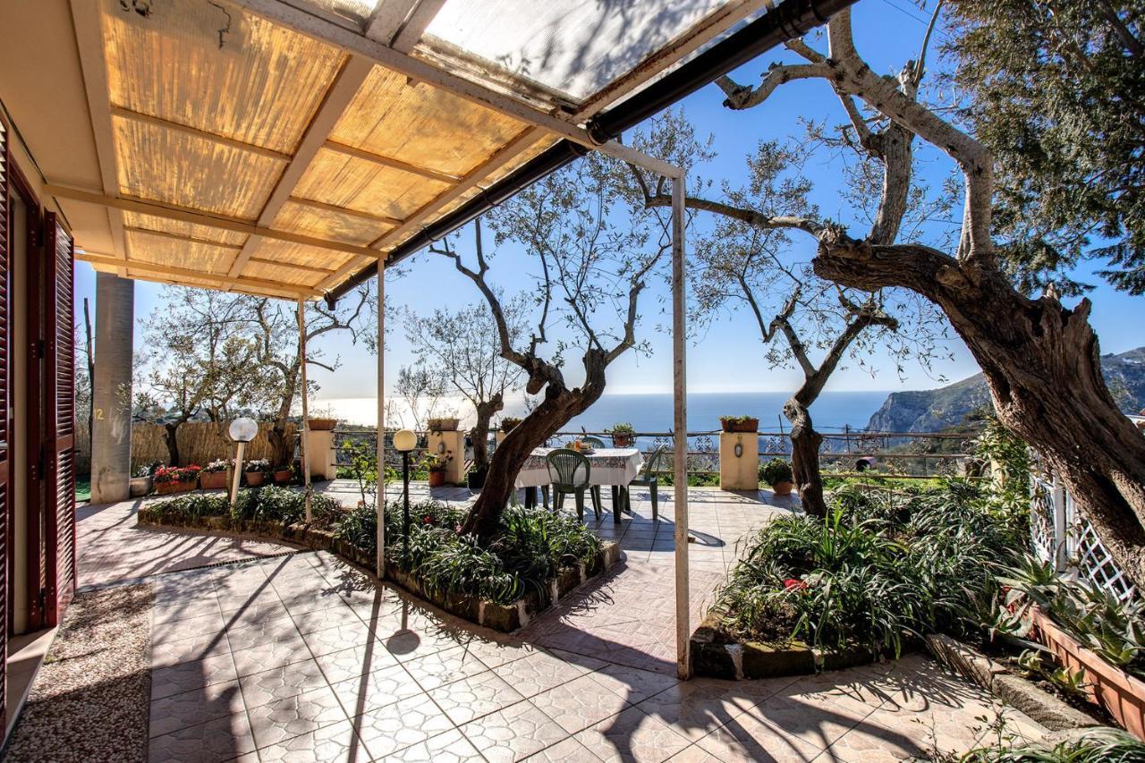 Il Pioppo - Country House Sea View Massa Lubrense Exteriör bild